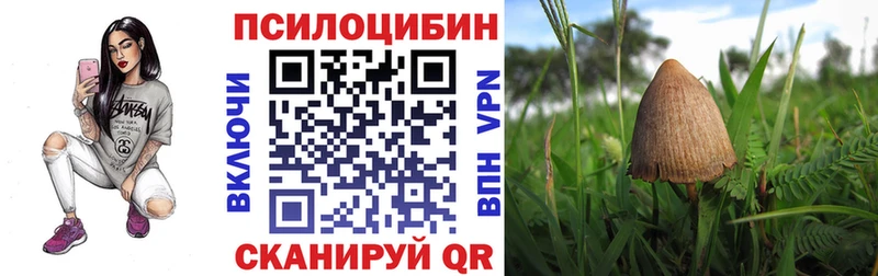Псилоцибиновые грибы Cubensis  Отрадный 