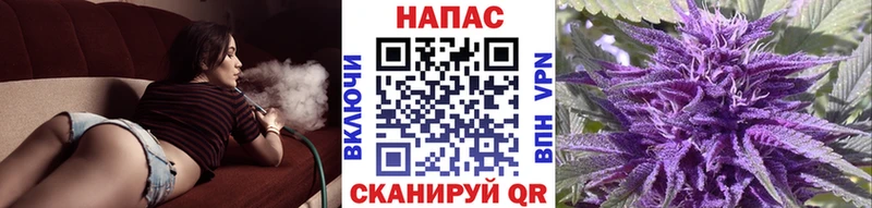 Конопля Bruce Banner  Отрадный 